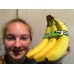 FAIRTRADE BANANAS Bunch of 5 from Ecuador